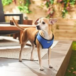 Frisco Padded Step-In Harness -Frisco 287451 PT8. AC SS1800 V1631669389