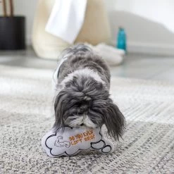 Frisco Message Bubble Plush Squeaky Dog Toy 7 Frisco Message Bubble Plush Squeaky Dog Toy -Frisco 288941 PT3. AC SS1800 V1638289328