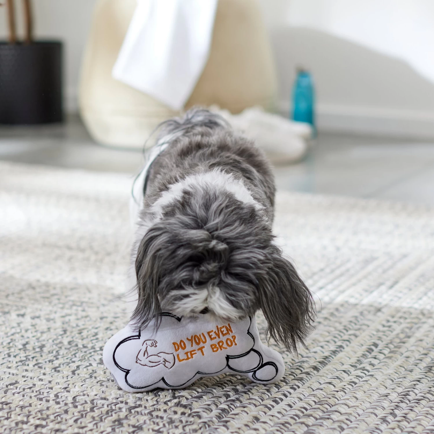 Frisco Message Bubble Plush Squeaky Dog Toy 4 Frisco Message Bubble Plush Squeaky Dog Toy - Image 4