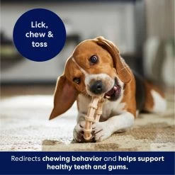 Frisco Ring Tough Nylon Chew Dog Toy, Chicken Flavor 10 Frisco Ring Tough Nylon Chew Dog Toy, Chicken Flavor -Frisco 290533 PT4. AC SS1800 V1695760990