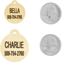Frisco Brass Personalized Dog & Cat ID Tag, Round -Frisco 296194 PT5. AC SS1800 V1628186525