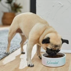 Frisco Watercolors Ceramic Personalized Dog Bowl 9 Frisco Watercolors Ceramic Personalized Dog Bowl -Frisco 296664 PT2. AC SS1800 V1625764663