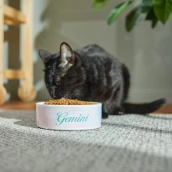 Frisco Watercolors Ceramic Personalized Dog Bowl 10 Frisco Watercolors Ceramic Personalized Dog Bowl -Frisco 296664 PT3. AC SS1800 V1625764646