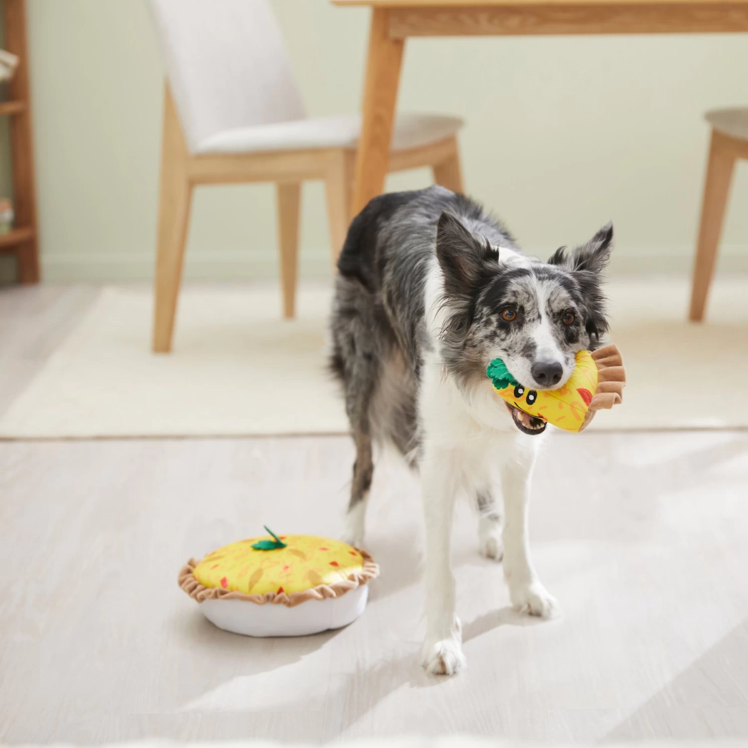 Frisco Brunch Quiche 2-in-1 Plush Squeaky Dog Toy 4 Frisco Brunch Quiche 2-in-1 Plush Squeaky Dog Toy - Image 4