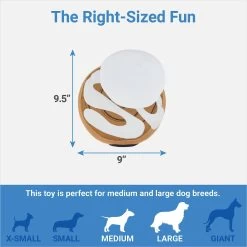 Frisco Brunch Cinnamon Roll Jumbo Plush Squeaky Dog Toy 4 Frisco Brunch Cinnamon Roll Jumbo Plush Squeaky Dog Toy -Frisco 297260 PT1. AC SS1800 V1643916682