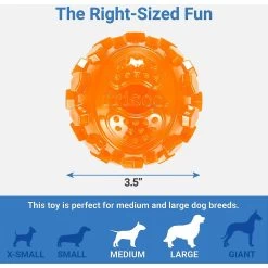 Frisco Fetch Squeaky TPR Ball Dog Toy & Bones & Chews Pig Ear Chews Dog Treats 7 Frisco Fetch Squeaky TPR Ball Dog Toy & Bones & Chews Pig Ear Chews Dog Treats -Frisco 297964 PT2. AC SS1800 V1623255143