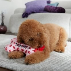 Frisco Valentine My First Valentine's Bone Reversible Plush Squeaky Dog Toy 8 Frisco Valentine My First Valentine's Bone Reversible Plush Squeaky Dog Toy -Frisco 298945 PT3. AC SS1800 V1638987722