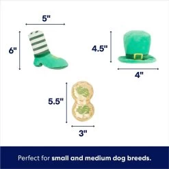 Frisco St. Patrick's Pot Of Gold Hide & Seek Puzzle Plush Squeaky Dog Toy -Frisco 303130 PT2. AC SS1800 V1703016817