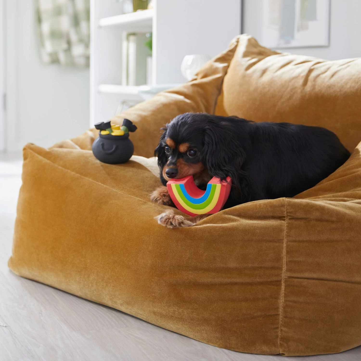 Frisco St. Patrick's Rainbow And Pot Of Gold Latex Squeaky Dog Toy 4 Frisco St. Patrick's Rainbow And Pot Of Gold Latex Squeaky Dog Toy - Image 4
