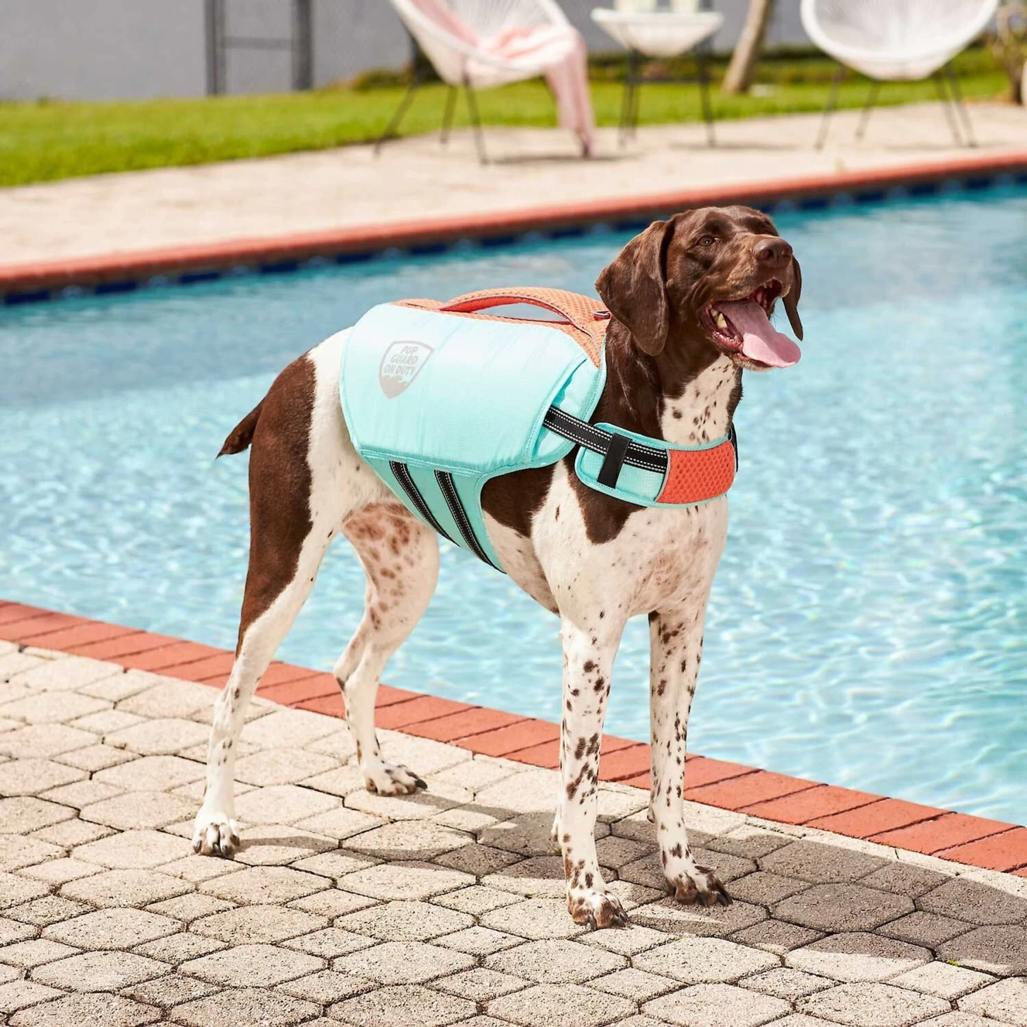 Frisco Active Dog Life Jacket & Frisco Foam Rubber Floating Fetch Ball No Squeak Dog Toy 4 Frisco Active Dog Life Jacket & Frisco Foam Rubber Floating Fetch Ball No Squeak Dog Toy - Image 4