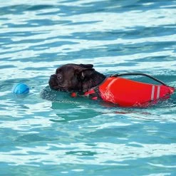Frisco Active Dog Life Jacket & Frisco Foam Rubber Floating Fetch Ball No Squeak Dog Toy 17 Frisco Active Dog Life Jacket & Frisco Foam Rubber Floating Fetch Ball No Squeak Dog Toy -Frisco 303364 PT8. AC SS1800 V1623163654