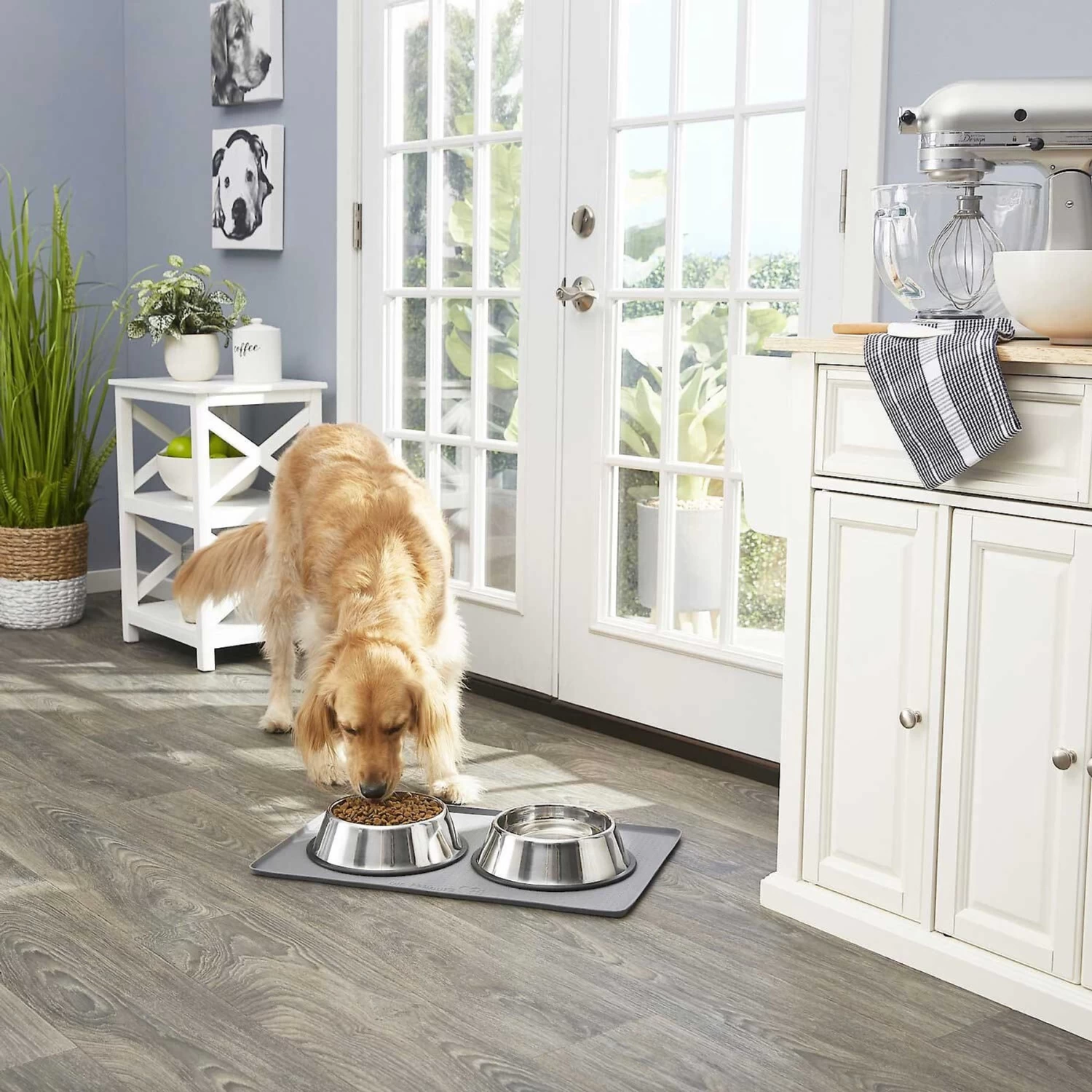 Frisco Fold & Carry Double Door Collapsible Wire Dog Crate & Mat Kit & Frisco Stainless Steel Bowl 8 Frisco Fold & Carry Double Door Collapsible Wire Dog Crate & Mat Kit & Frisco Stainless Steel Bowl - Image 8