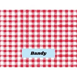 Frisco Personalized Gingham Plaid Sherpa Cat & Dog Blanket, 30" X 40" -Frisco 303834 PT4. AC SS1800 V1637610144