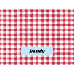Frisco Personalized Gingham Plaid Soft Fleece Cat & Dog Blanket, 30" X 40" -Frisco 304001 PT4. AC SS1800 V1637609279