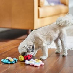 Frisco Spring Pack Plush Squeaky Dog Toy 8 Frisco Spring Pack Plush Squeaky Dog Toy -Frisco 304950 PT4. AC SS1800 V1703184715