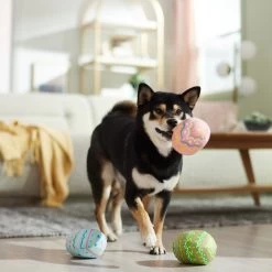 Frisco Easter Eggs Plush Squeaky Dog Toy -Frisco 304954 PT4. AC SS1800 V1702500565