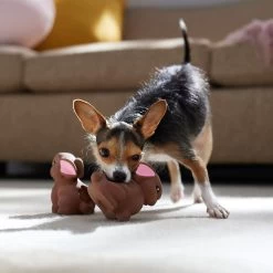 Frisco Easter Chocolate Bunnies Latex Squeaky Dog Toy -Frisco 304956 PT4. AC SS1800 V1700162989