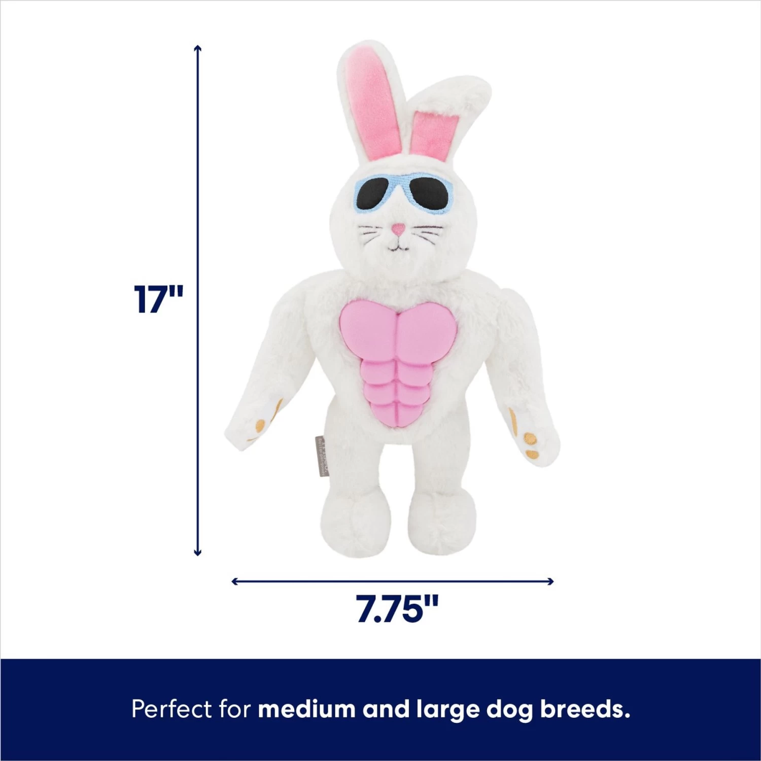Frisco Easter Bunny Muscle Plush Squeaky Dog Toy 2 Frisco Easter Bunny Muscle Plush Squeaky Dog Toy - Image 2