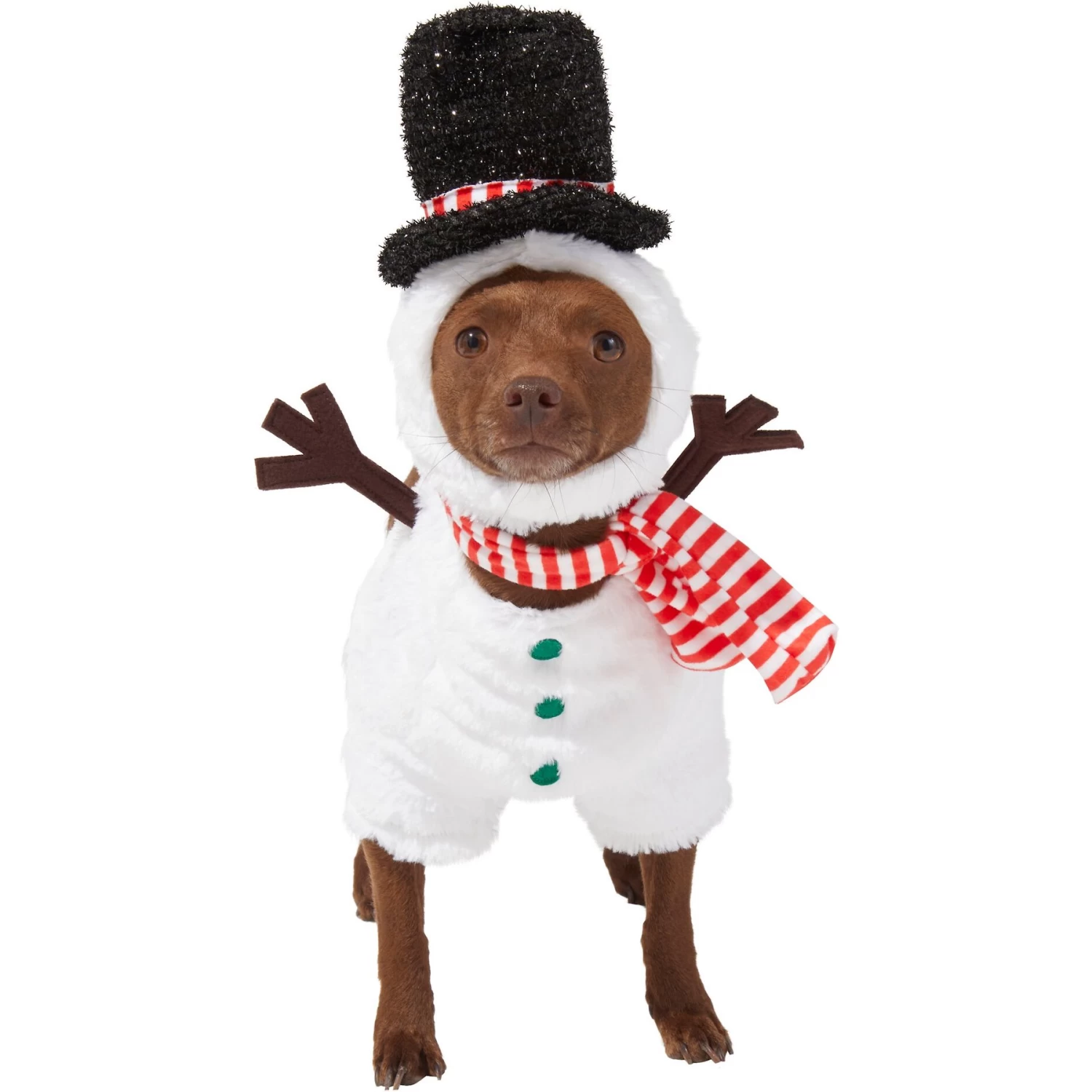 Frisco Front Walking Snowman Dog & Cat Costume 1 Frisco Front Walking Snowman Dog & Cat Costume