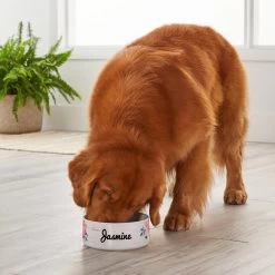 Frisco Personalized Rustic Ceramic Dog Bowl, 4.75-cup, 38oz 7 Frisco Personalized Rustic Ceramic Dog Bowl, 4.75-cup, 38oz -Frisco 306764 PT4. AC SS1800 V1639518092