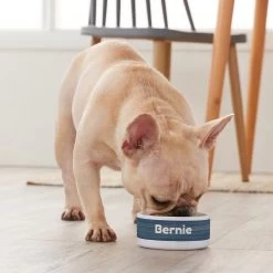 Frisco Heathered Personalized Dog & Cat Bowl 9 Frisco Heathered Personalized Dog & Cat Bowl -Frisco 306766 PT4. AC SS1800 V1639518097