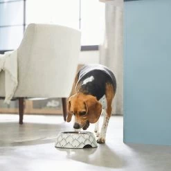 Frisco Moroccan Design Stainless Steel Dog & Cat Bowl 10 Frisco Moroccan Design Stainless Steel Dog & Cat Bowl -Frisco 311963 PT2. AC SS1800 V1642542922