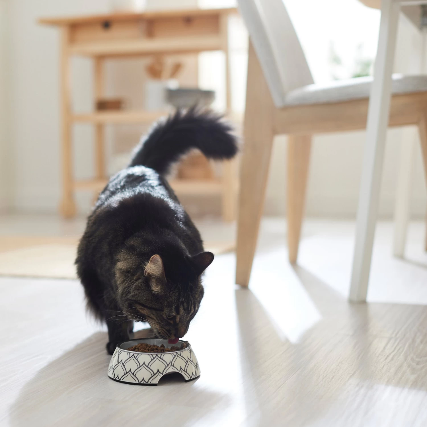 Frisco Moroccan Design Stainless Steel Dog & Cat Bowl 4 Frisco Moroccan Design Stainless Steel Dog & Cat Bowl - Image 4