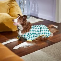 Frisco Boho Gingham Dog & Cat PJs 11 Frisco Boho Gingham Dog & Cat PJs -Frisco 312272 PT8. AC SS1800 V1644880063