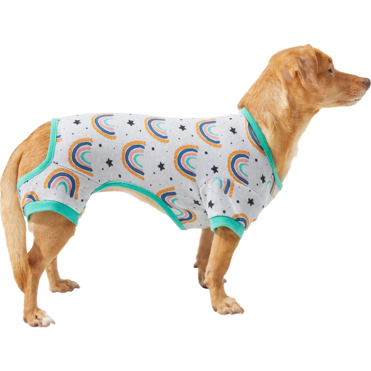 Frisco Rainbow Dog & Cat PJs 1 Frisco Rainbow Dog & Cat PJs