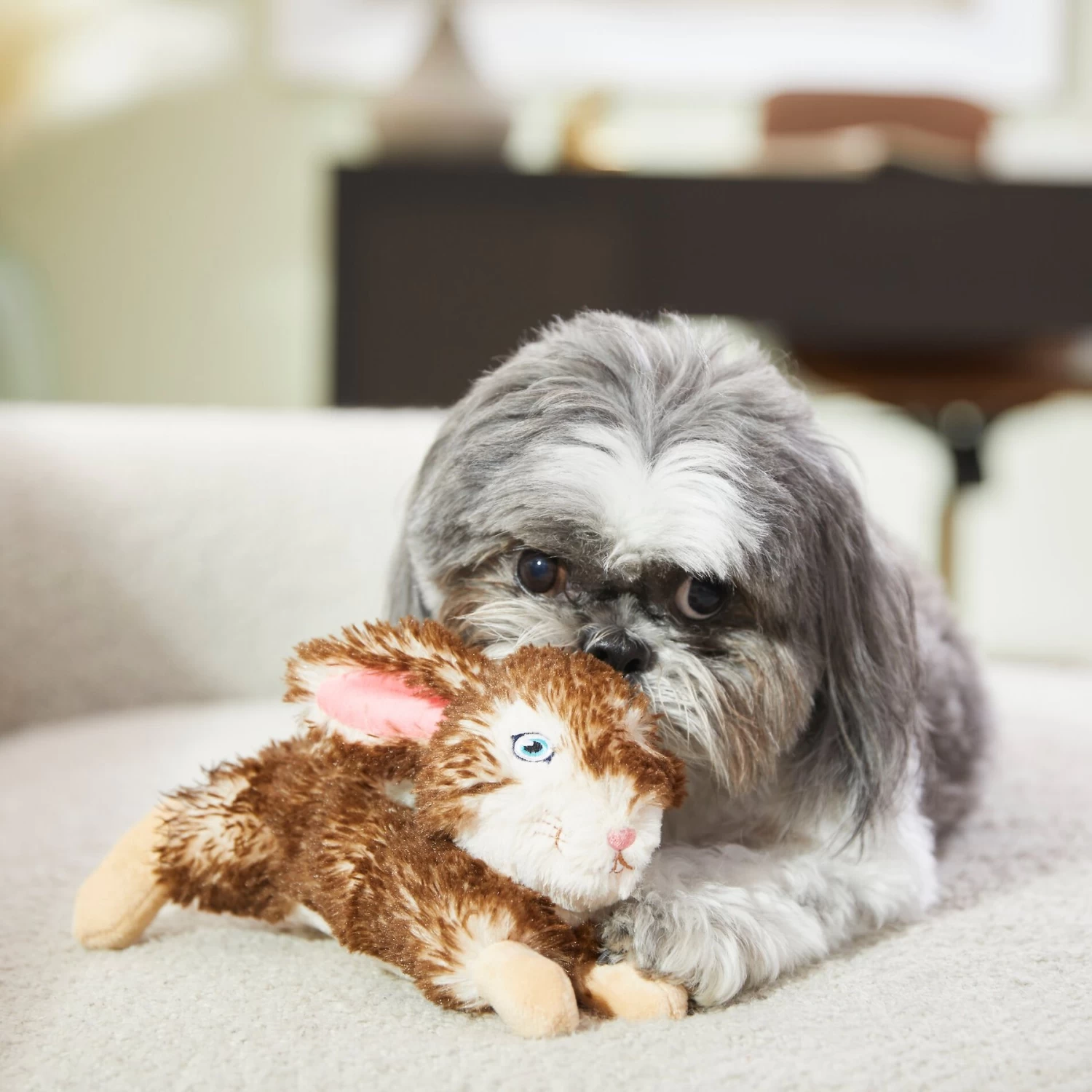 Frisco Realistic Plush Rabbit Plush Dog Toy, Small 3 Frisco Realistic Plush Rabbit Plush Dog Toy, Small - Image 3