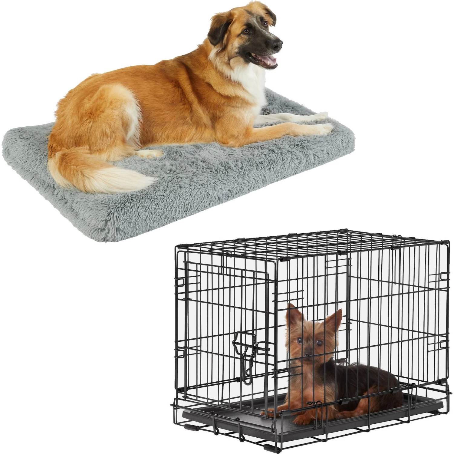 Frisco Eyelash Orthopedic Dog Crate Mat & Frisco Fold & Carry Single Door Collapsible Wire Dog Crate 1 Frisco Eyelash Orthopedic Dog Crate Mat & Frisco Fold & Carry Single Door Collapsible Wire Dog Crate