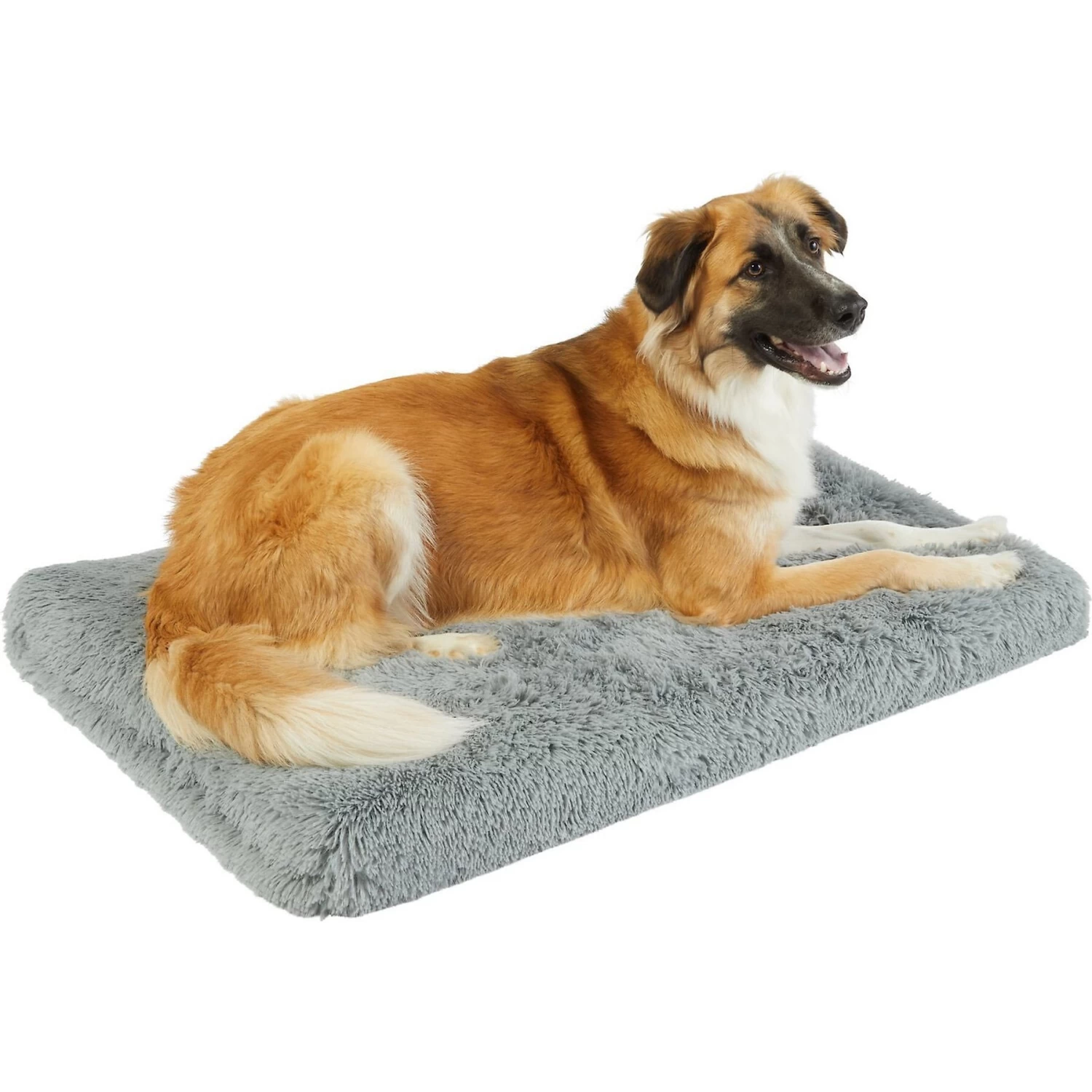 Frisco Eyelash Orthopedic Dog Crate Mat & Frisco Fold & Carry Single Door Collapsible Wire Dog Crate 2 Frisco Eyelash Orthopedic Dog Crate Mat & Frisco Fold & Carry Single Door Collapsible Wire Dog Crate - Image 2