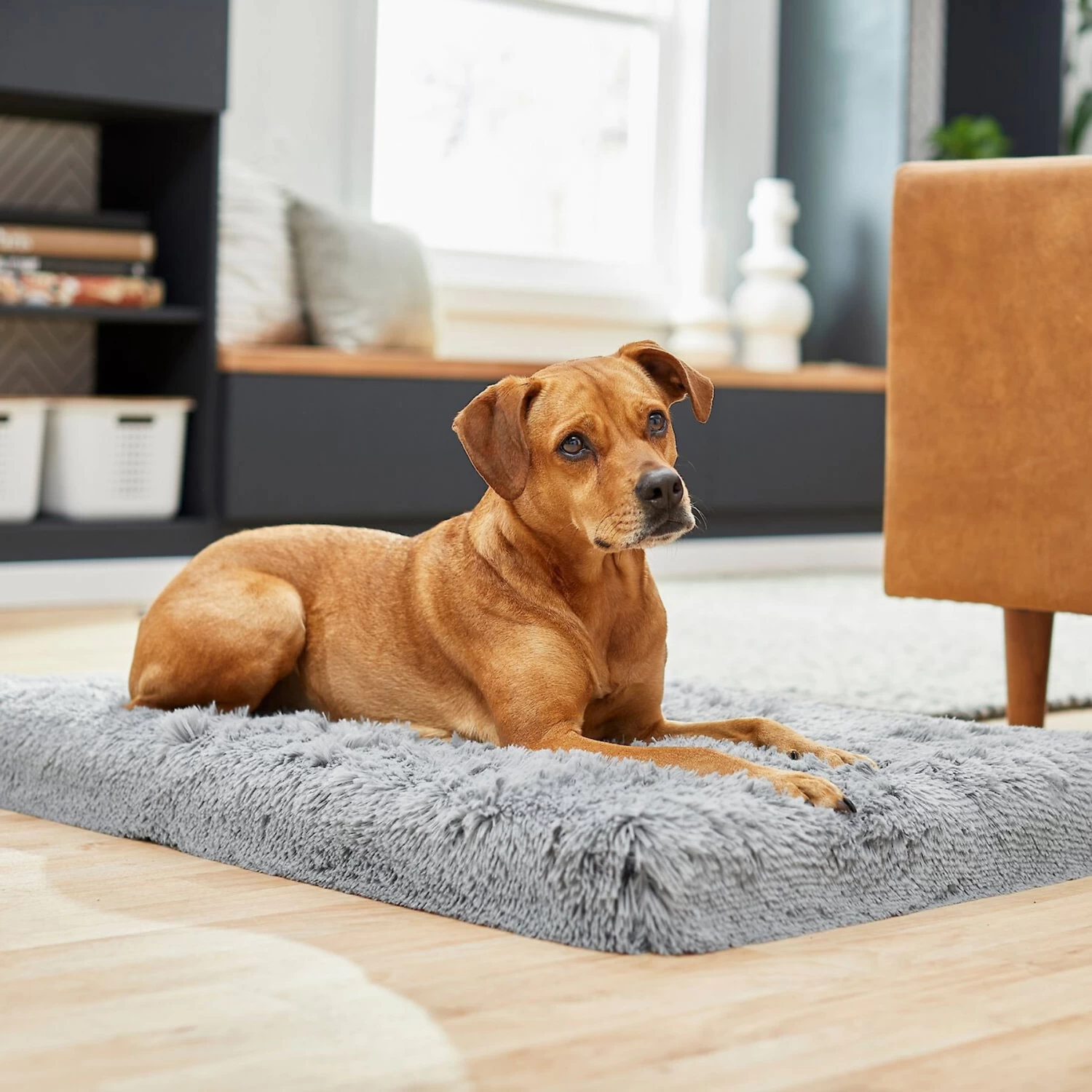 Frisco Eyelash Orthopedic Dog Crate Mat & Frisco Fold & Carry Single Door Collapsible Wire Dog Crate 5 Frisco Eyelash Orthopedic Dog Crate Mat & Frisco Fold & Carry Single Door Collapsible Wire Dog Crate - Image 5