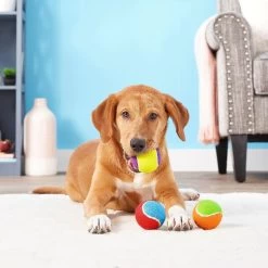 Frisco Fetch Squeaking Colorful Tennis Ball Dog Toy & Playology Scented Dual Layer Bone Dog Toy -Frisco 319022 PT3. AC SS1800 V1630552585