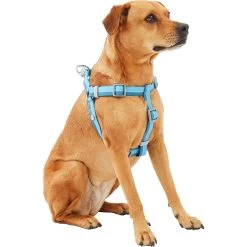 Frisco Outdoor Two Tone Waterproof Stinkproof PVC Dog Harness & Frisco Outdoor Two Tone Waterproof Stinkproof PVC Dog Harness -Frisco 319396 PT2. AC SS1800 V1630624884