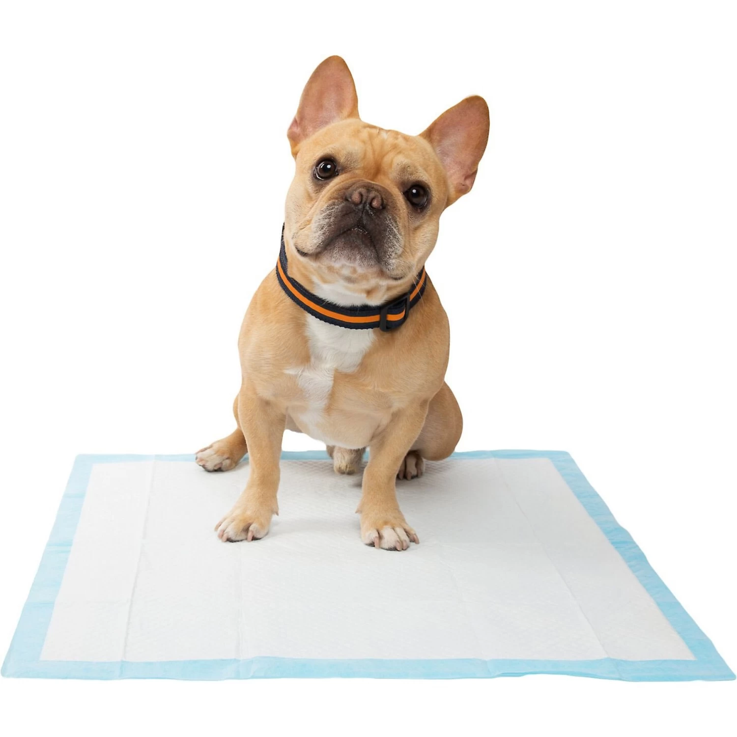 Frisco Training Pad Holder & Frisco Premium Dog Training & Potty Pads 9 Frisco Training Pad Holder & Frisco Premium Dog Training & Potty Pads - Image 9