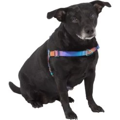 Frisco Purple Ombre Style Dog Harness 7 Frisco Purple Ombre Style Dog Harness -Frisco 324526 PT2. AC SS1800 V1642519692