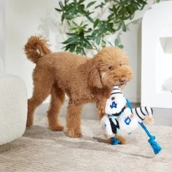 Frisco Dad Gnome Plush With Rope Dog Toy 5 Frisco Dad Gnome Plush With Rope Dog Toy -Frisco 327053 PT3. AC SS1800 V1648667286