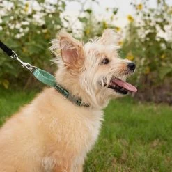 Frisco Outdoor Running Martingale Dog Collar 8 Frisco Outdoor Running Martingale Dog Collar -Frisco 331413 PT3. AC SS1800 V1662644747