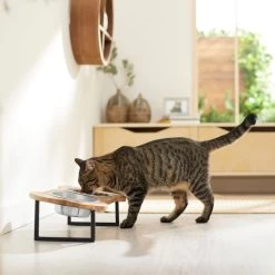 Frisco Premium Wood Elevated Bone Shape Stainless Steel Double Diner Dog & Cat Bowl, 3 Cup -Frisco 331497 PT3. AC SS1800 V1657656892