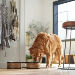 Frisco Premium Elevated Bone Design Stainless Steel Double Diner Dog & Cat Bowl 9 Frisco Premium Elevated Bone Design Stainless Steel Double Diner Dog & Cat Bowl -Frisco 331499 PT2. AC SS1800 V1657656892
