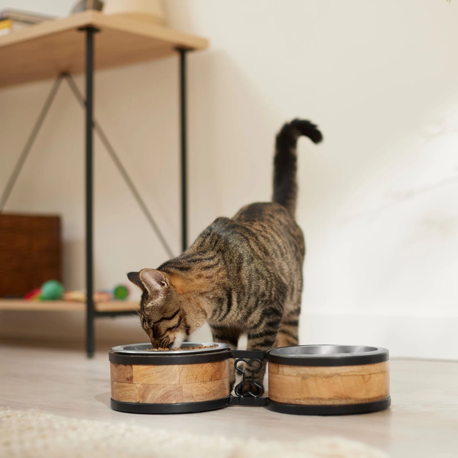 Frisco Premium Elevated Bone Design Stainless Steel Double Diner Dog & Cat Bowl 4 Frisco Premium Elevated Bone Design Stainless Steel Double Diner Dog & Cat Bowl - Image 4