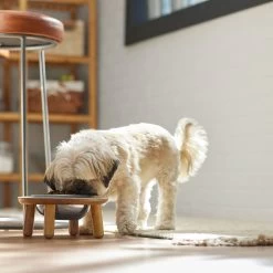 Frisco Premium Round Shape Elevated Single Dog & Cat Bowl 8 Frisco Premium Round Shape Elevated Single Dog & Cat Bowl -Frisco 331502 PT2. AC SS1800 V1657656893