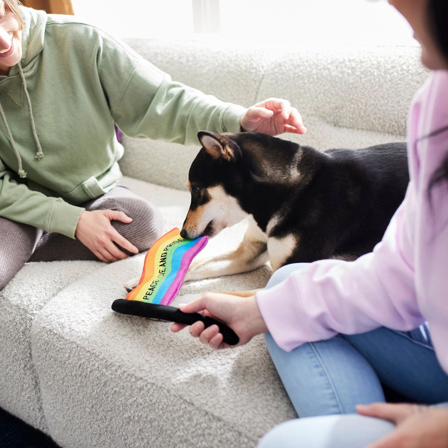 Frisco Pride Flag Flat Squeaky Dog Toy 3 Frisco Pride Flag Flat Squeaky Dog Toy - Image 3