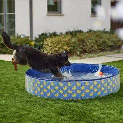 Frisco Outdoor Dog Swimming Pool, Rubber Ducky