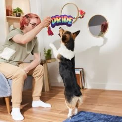 Frisco Pride Plush With Rope Squeaky Dog Toy -Frisco 331661 PT3. AC SS1800 V1647356002