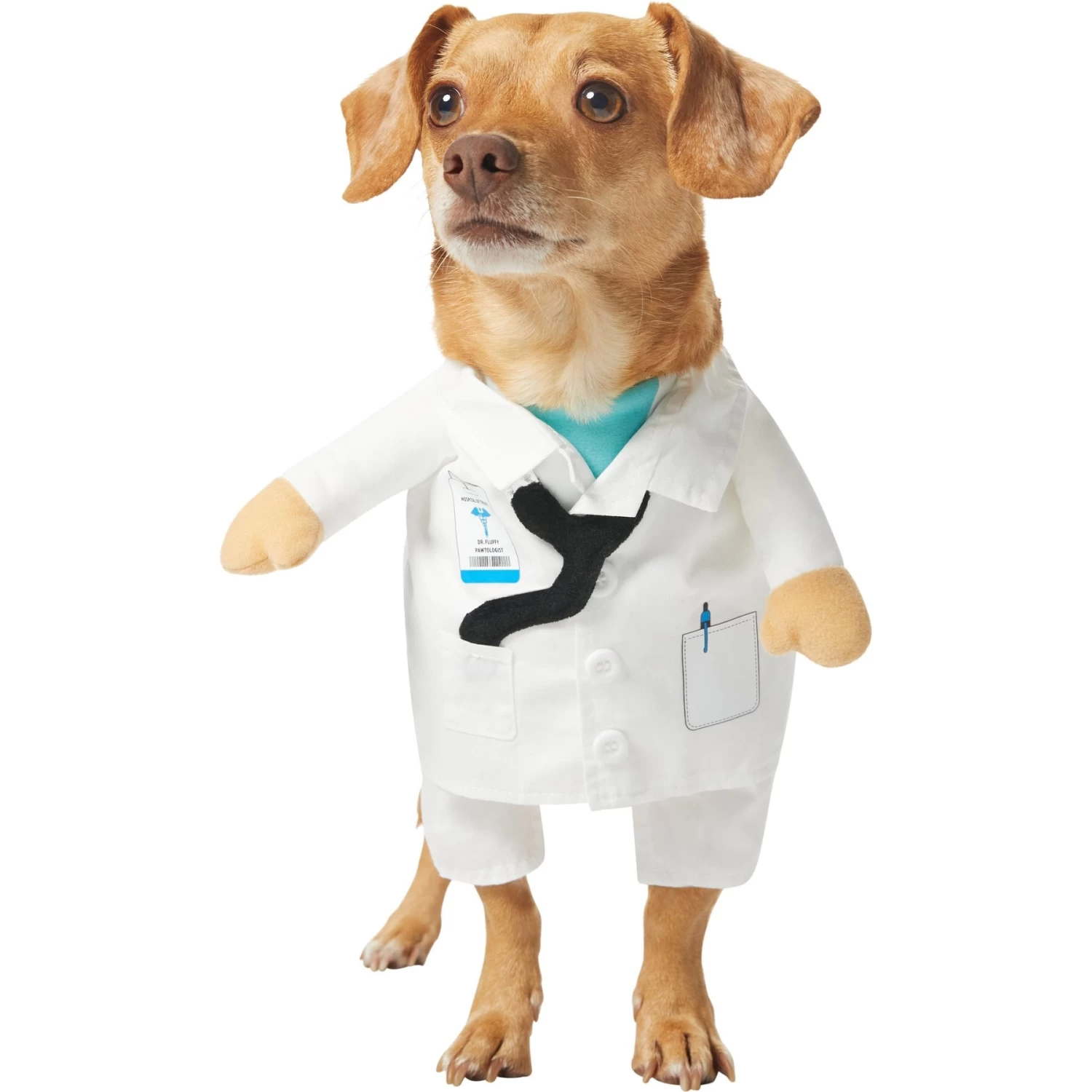 Frisco Front Walking Doctor Dog & Cat Costume 1 Frisco Front Walking Doctor Dog & Cat Costume