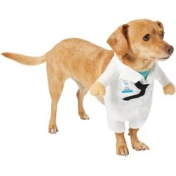 Frisco Front Walking Doctor Dog & Cat Costume 11 Frisco Front Walking Doctor Dog & Cat Costume -Frisco 334900 PT3. AC SS1800 V1658344549