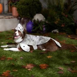 Frisco Seal Dog & Cat Costume 12 Frisco Seal Dog & Cat Costume -Frisco 334983 PT7. AC SS1800 V1657730462