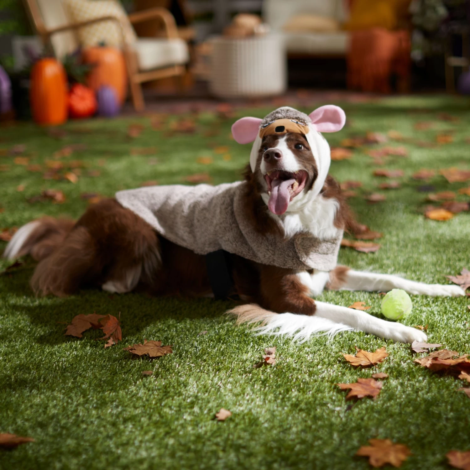 Frisco Hedgehog Dog & Cat Costume 6 Frisco Hedgehog Dog & Cat Costume - Image 6